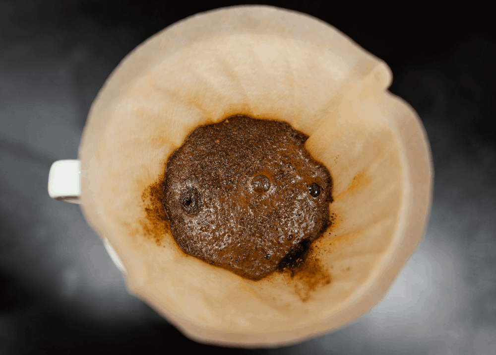 Borra de Café 7 usos para reutilizarlo