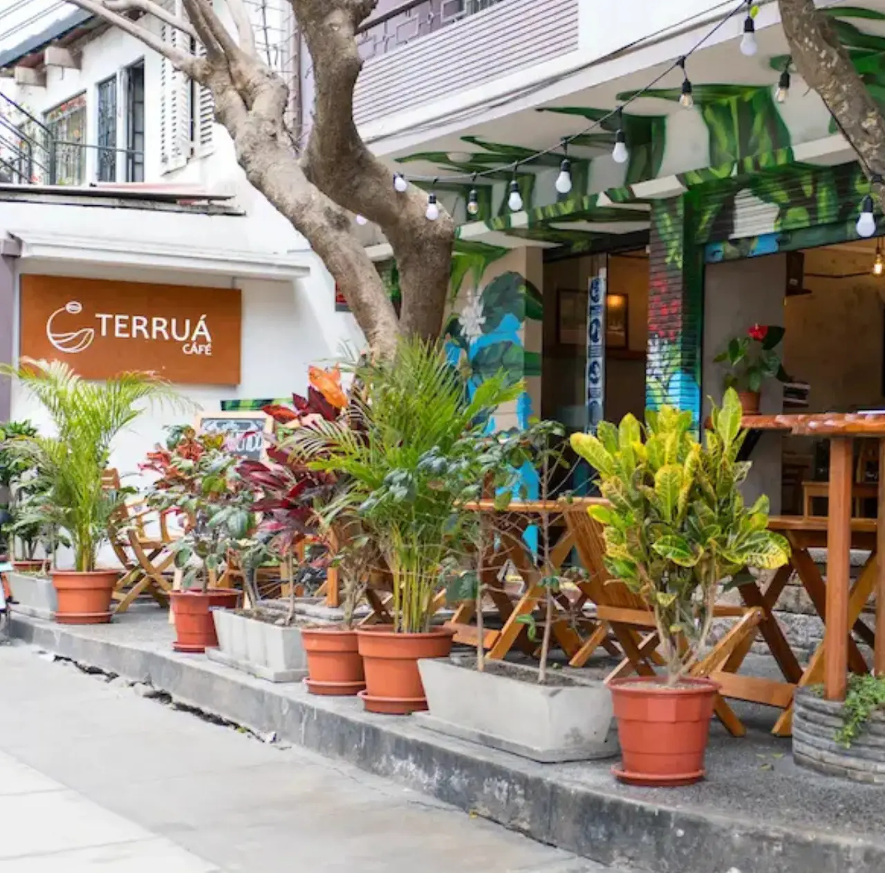 terrua sostebilidad 2